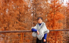 久久久这里只有精品免费